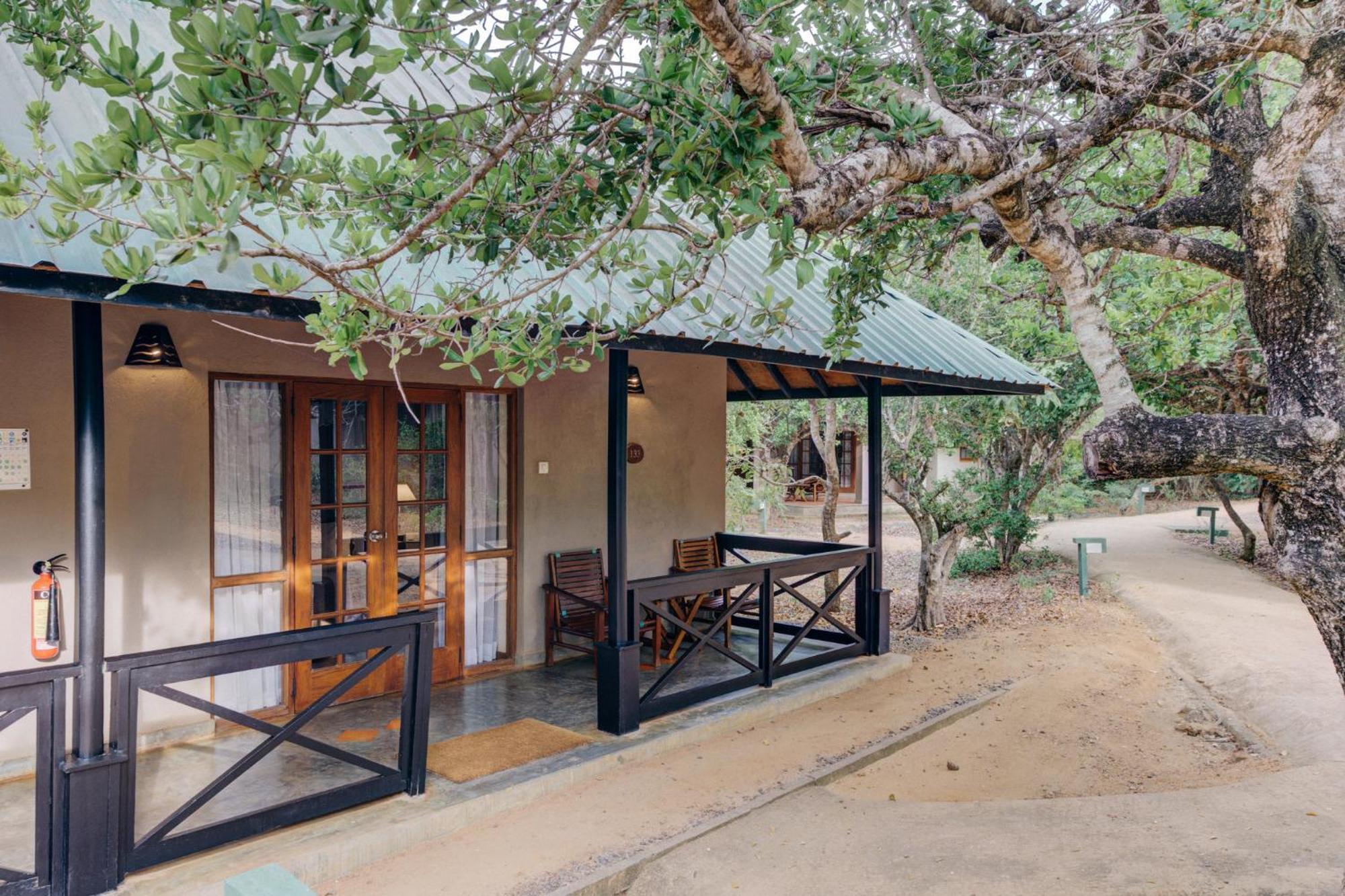 Jungle Chalet King Safari | Complimentary cocktail each if reserved during Stargazing experience