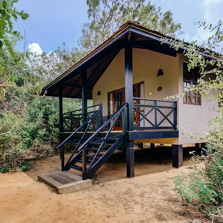 Cinnamon Wild Yala-2